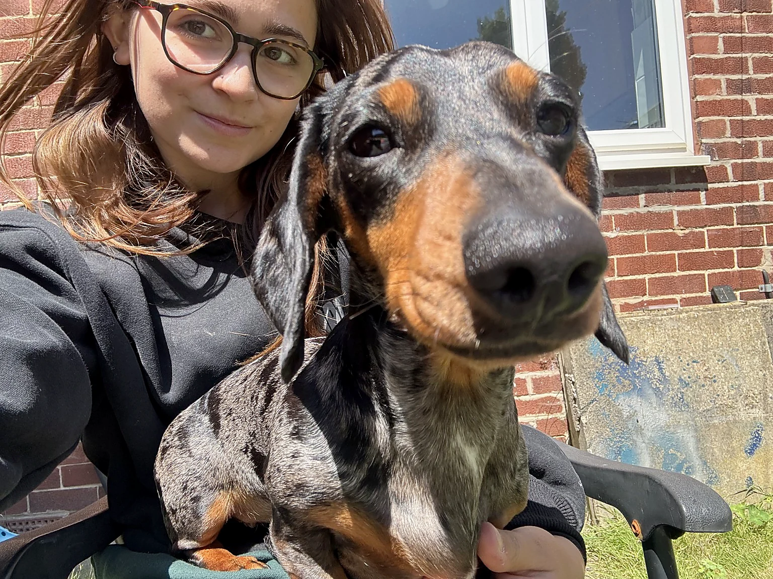 Ruby sitting with a friendly dachshund