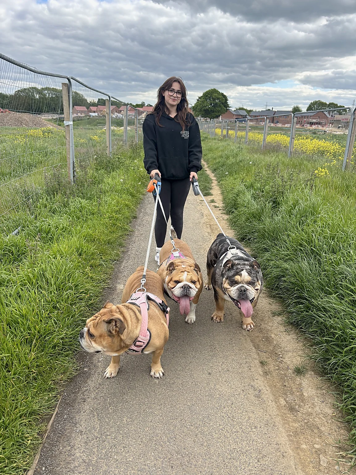 Ruby walking three bulldogs on a country path